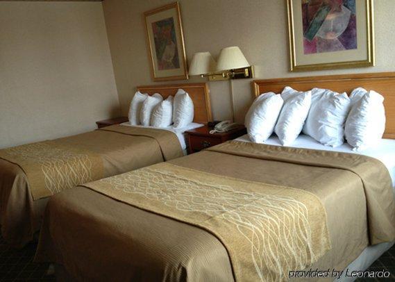 Comfort Inn Meadowvale ミシサガ 部屋 写真
