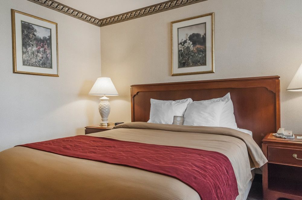 Comfort Inn Meadowvale ミシサガ エクステリア 写真