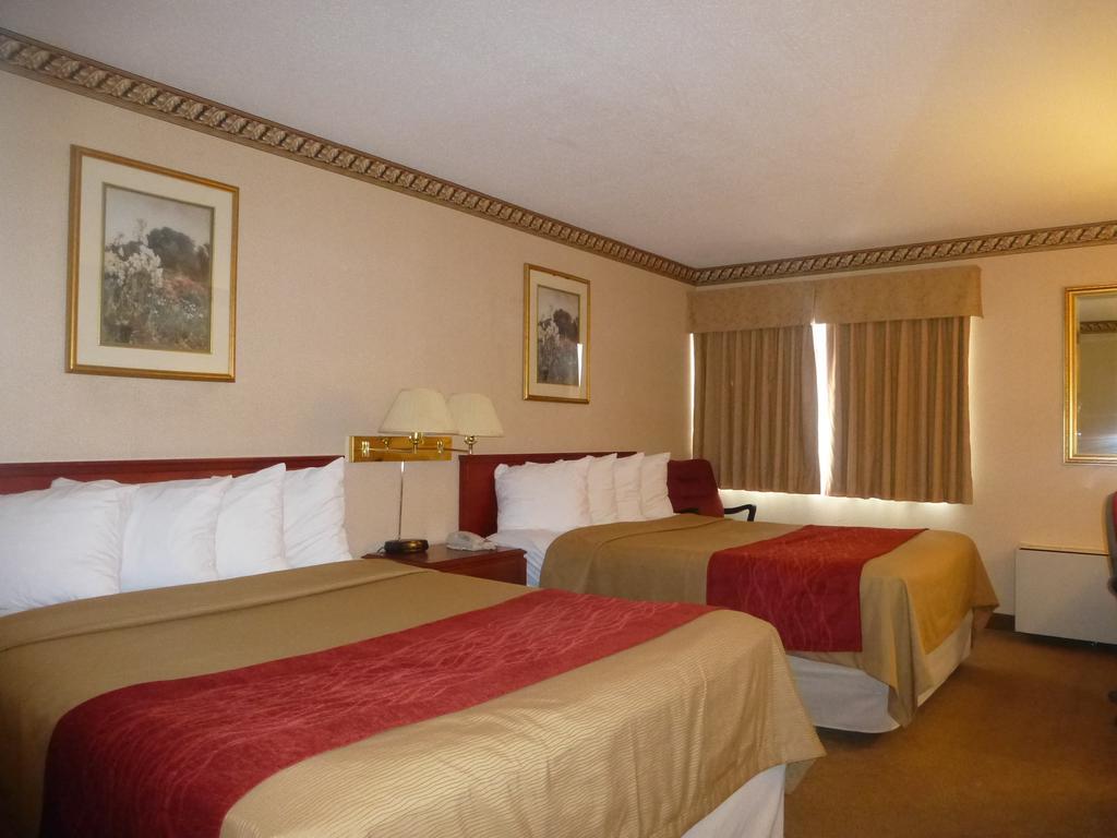 Comfort Inn Meadowvale ミシサガ 部屋 写真